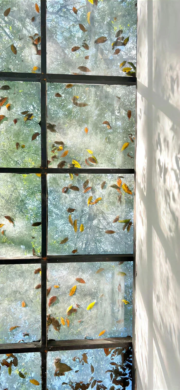 Share🎀ins风壁纸