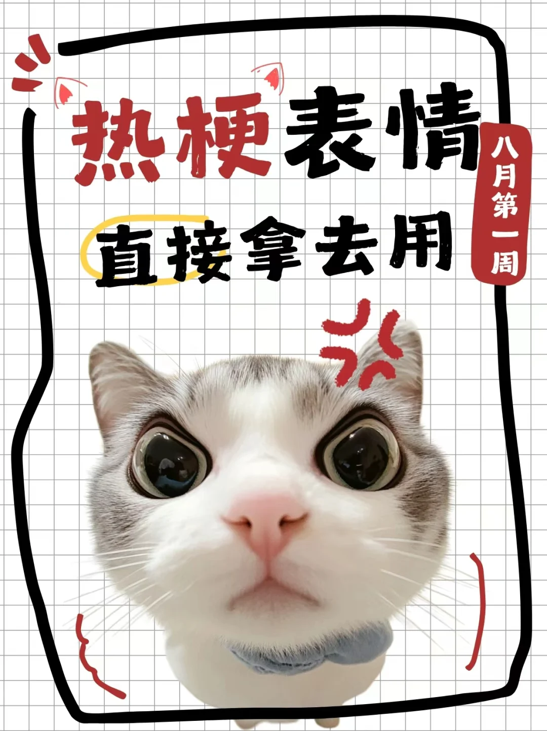 8月热梗表情🔥，马上更新你的新鲜表情