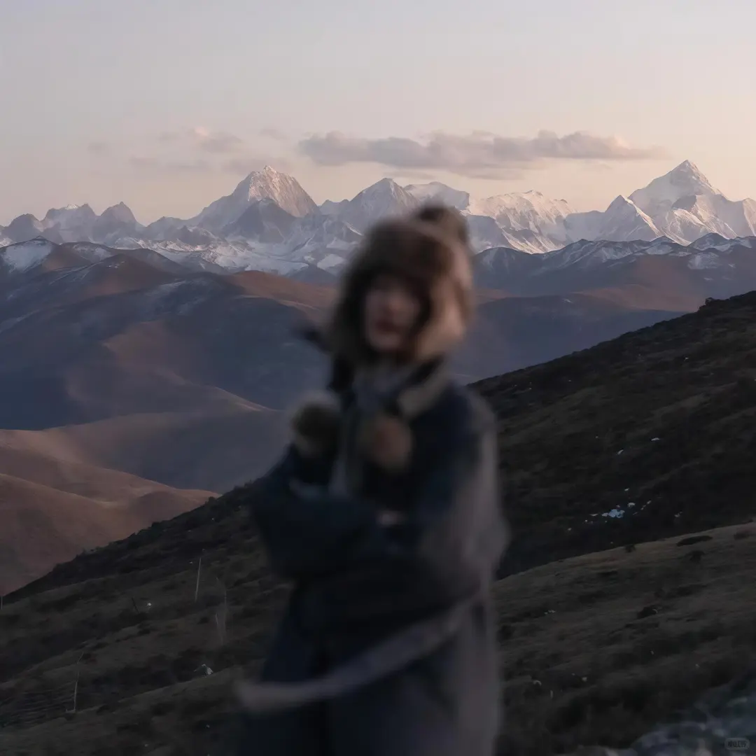 𝙒𝙚𝘾𝙝𝙖𝙩头像 生命力