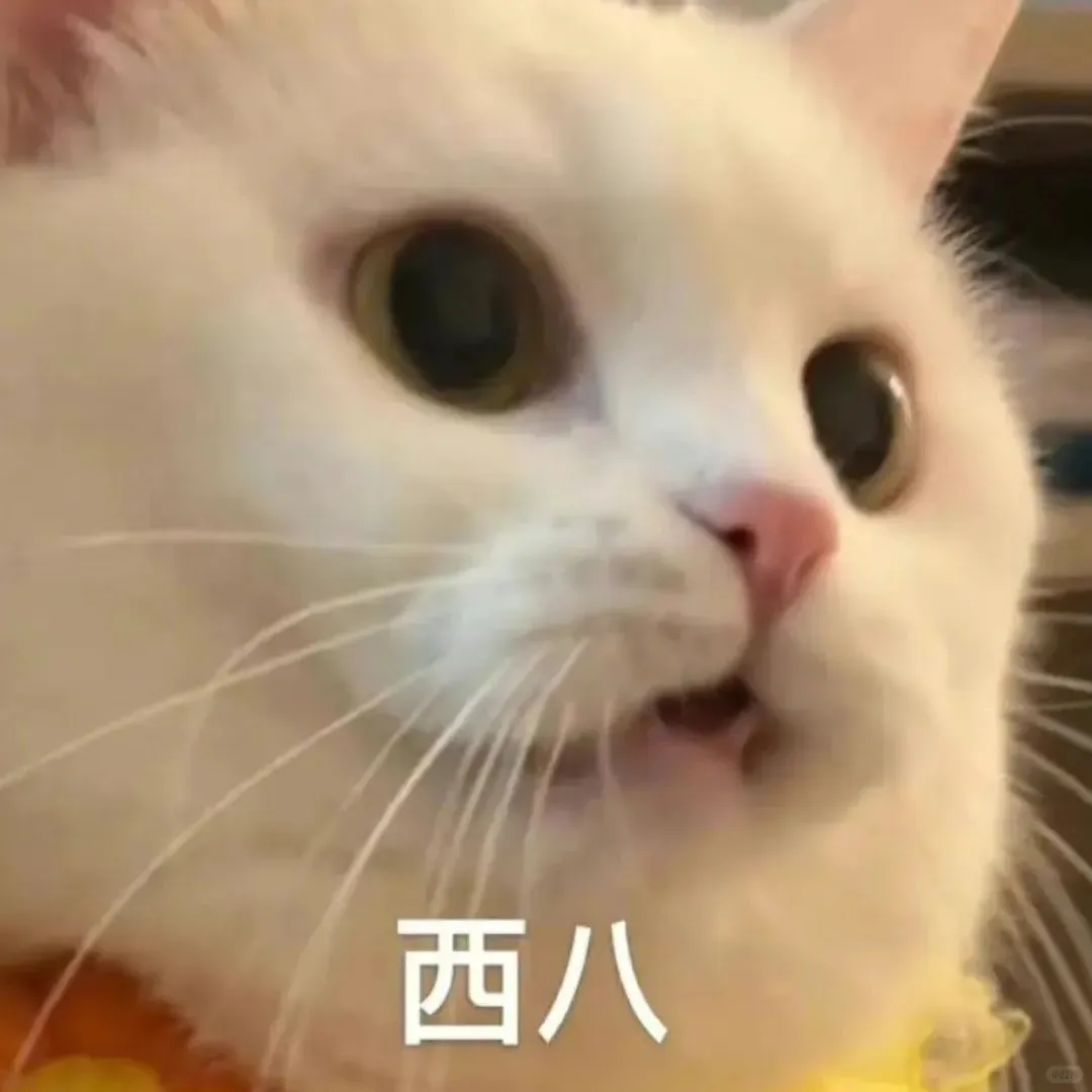 表情包｜尖叫！！！