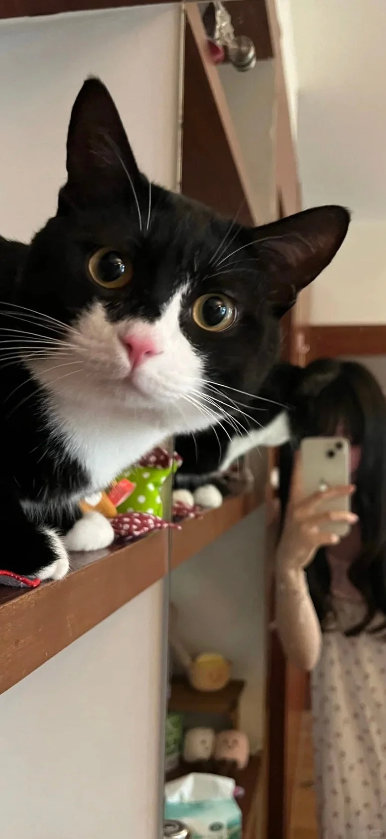 Share🎀ins风壁纸