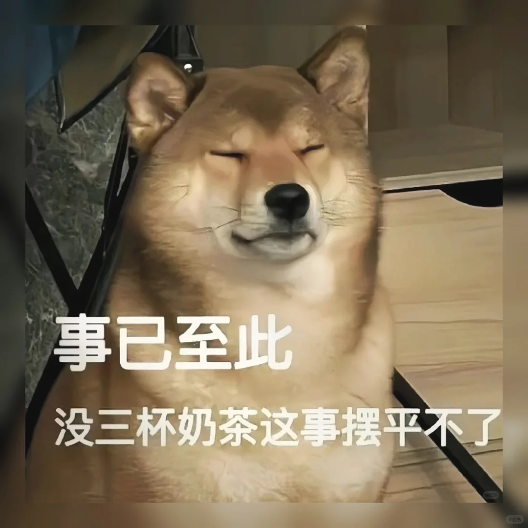 艾特闺蜜！这50个笑不活的表情包我存了｜速