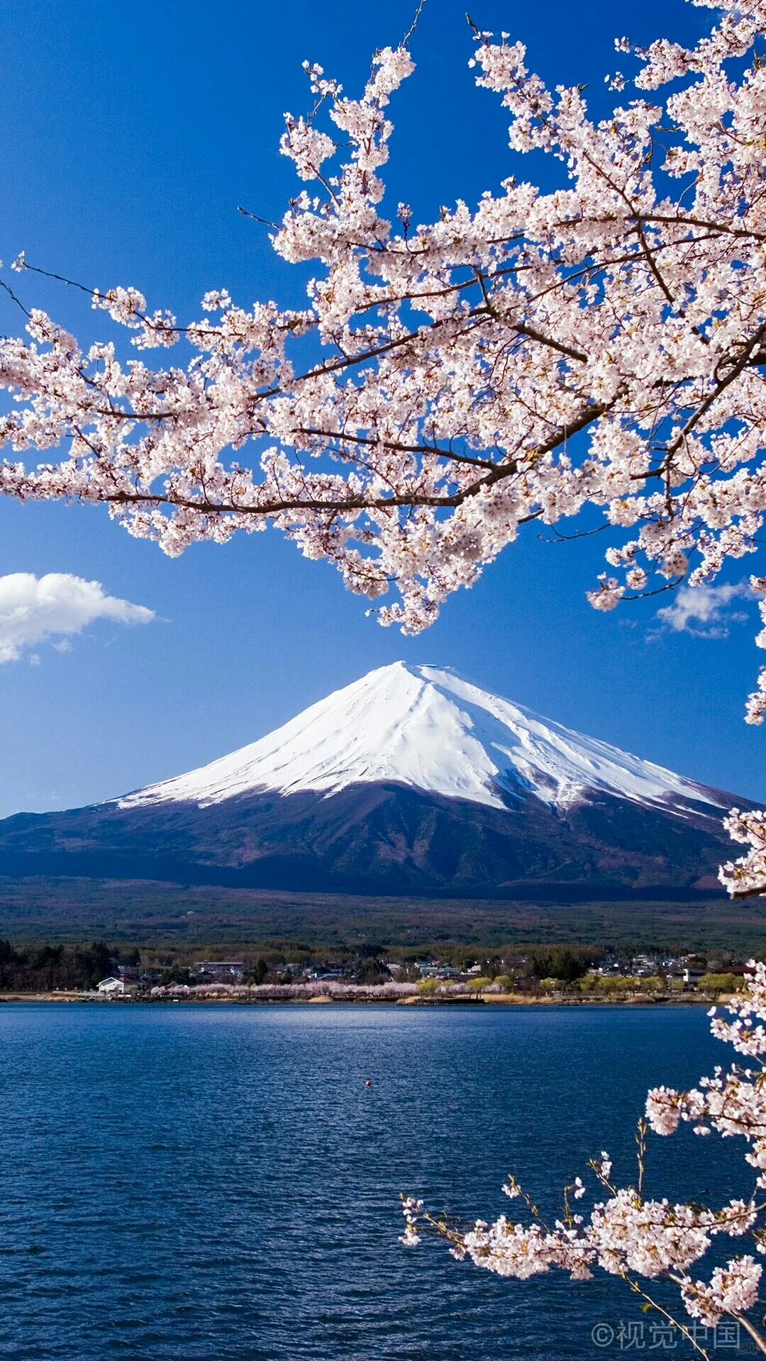富士山下🗻wallpaper