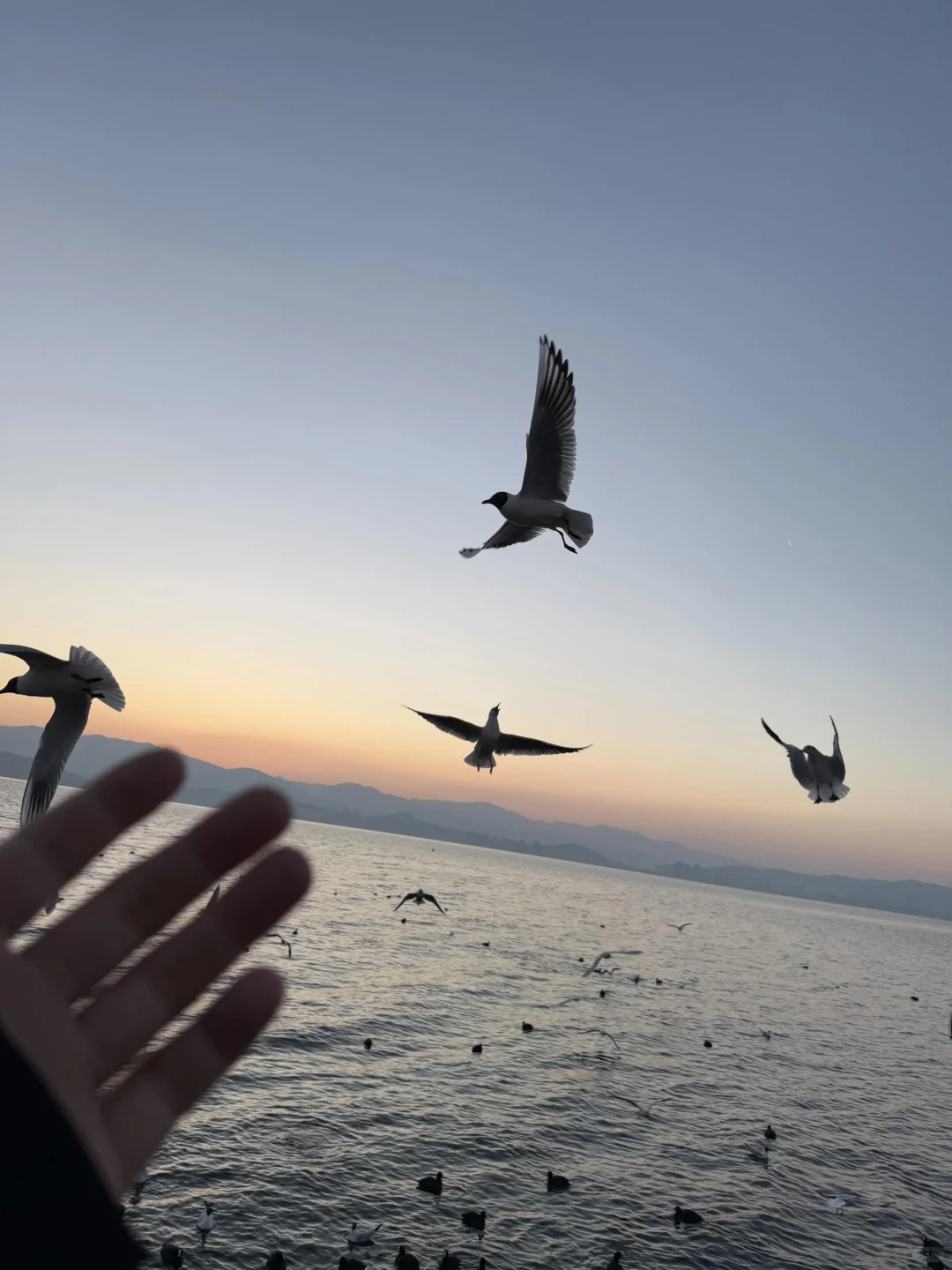 18张爆款live 图 | 高清未使用 喜欢拿