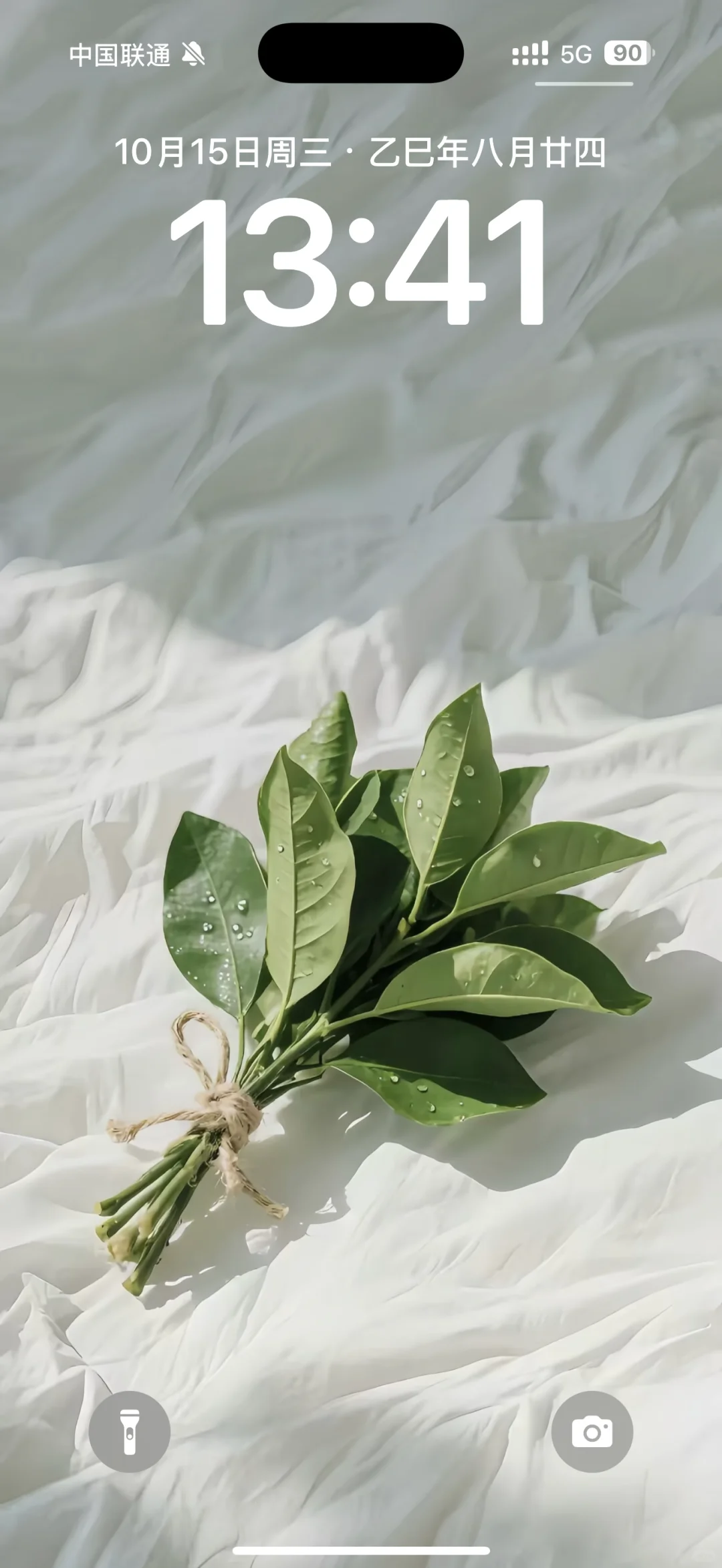 柚子叶壁纸超好看！