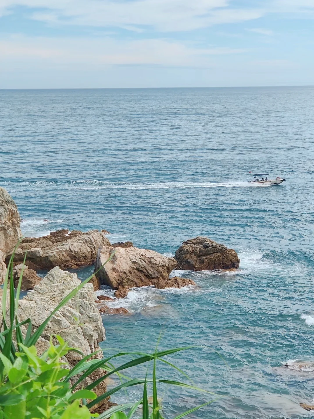 大海与红辣的泳衣更配噢🌊
