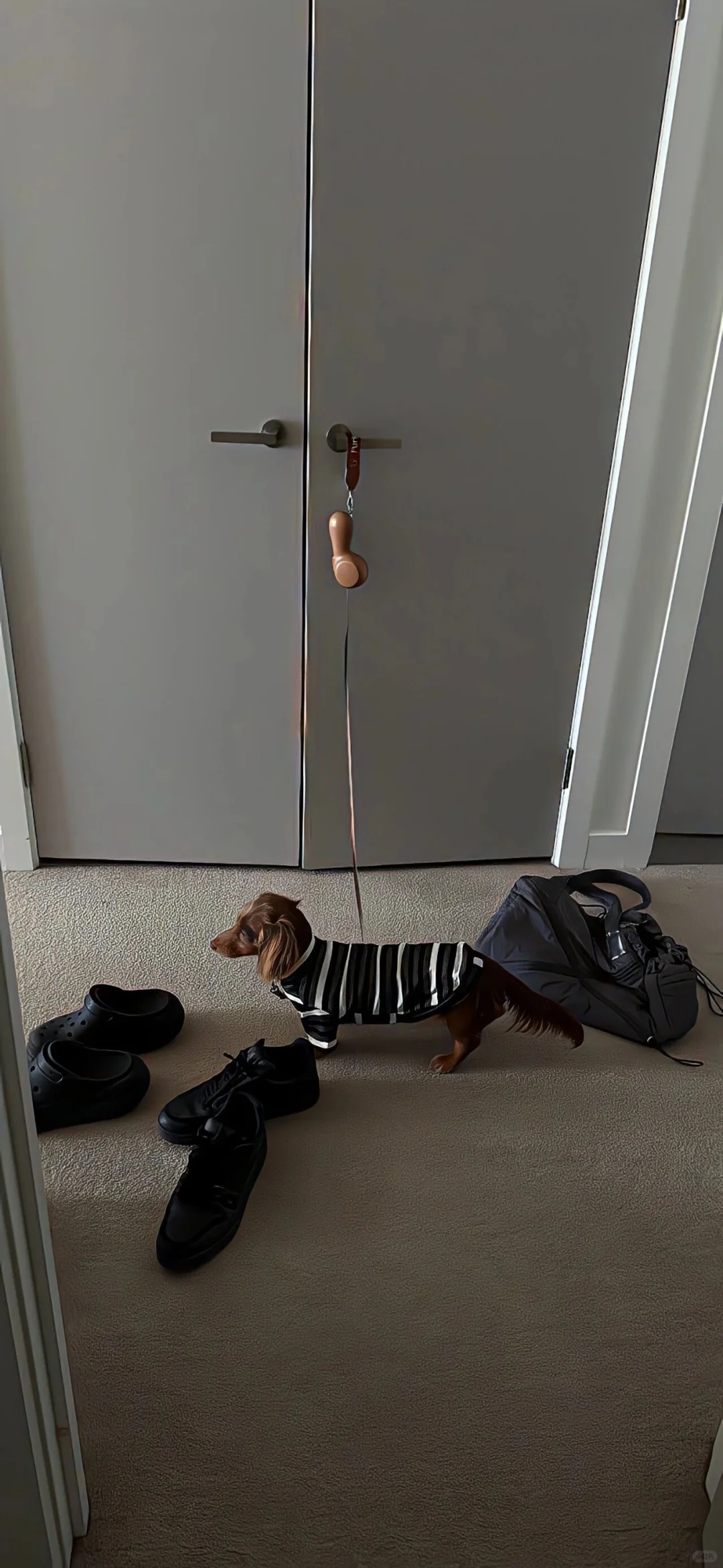 敲喜欢的、氛围感壁纸、治愈系壁纸、敲喜欢的