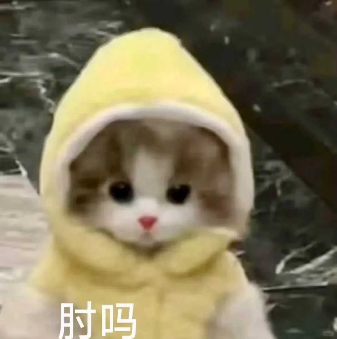 小猫表情包、小猫表情包