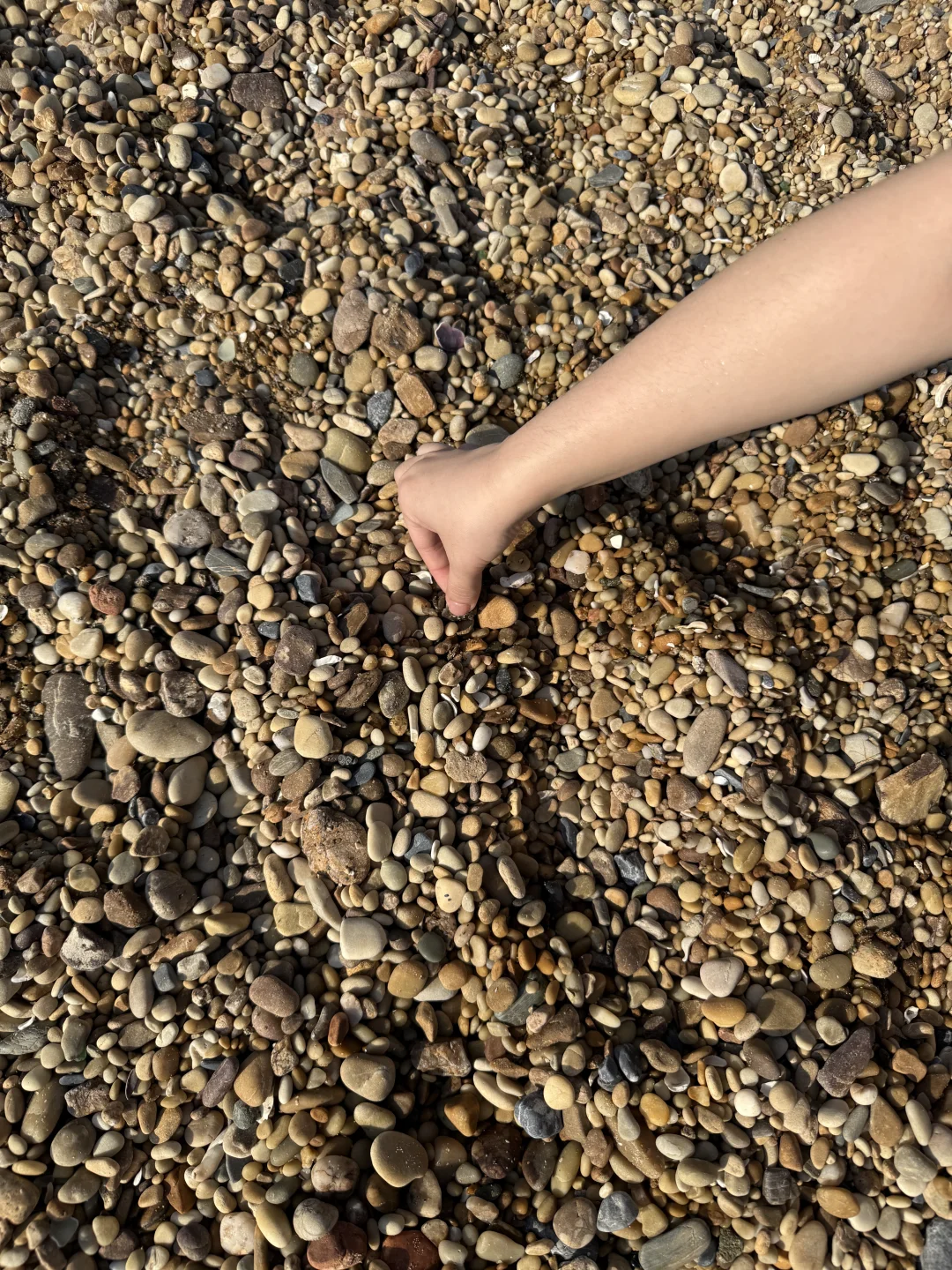 𓇼去海边啦 ོ 𓊝 ｜.🐚