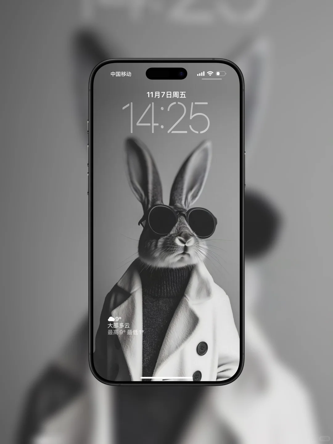 每日分享｜灰色系👀兔