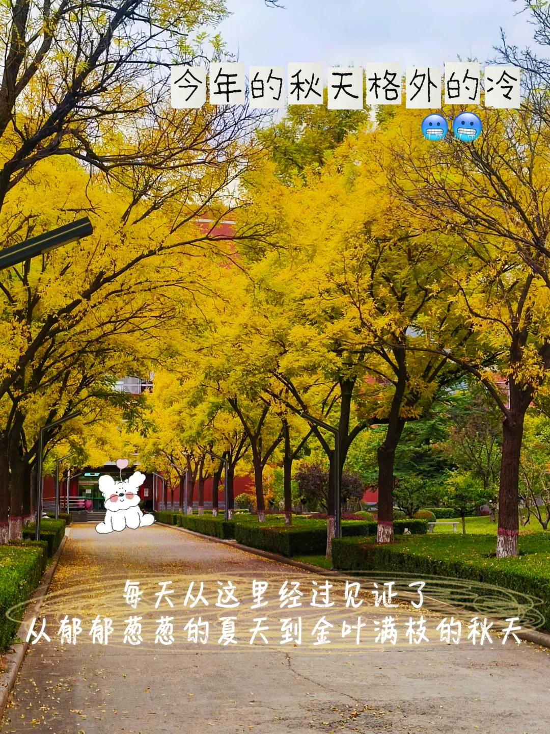 03年女大｜人生第一篇plog来啦！请多指教～