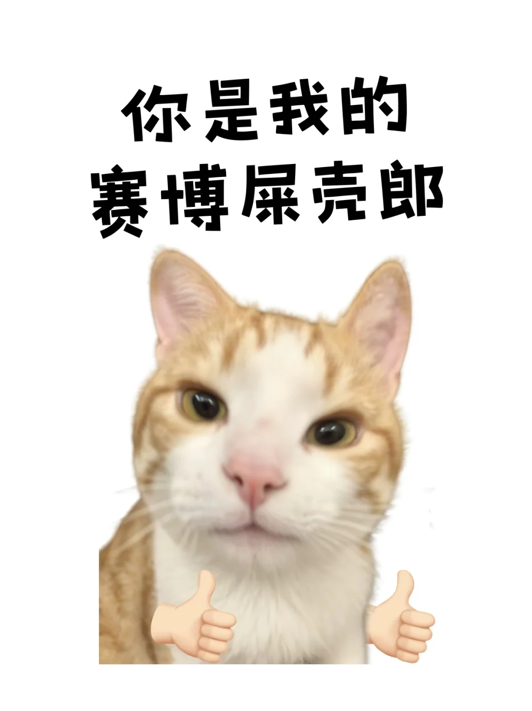 8月热梗表情🔥，马上更新你的新鲜表情