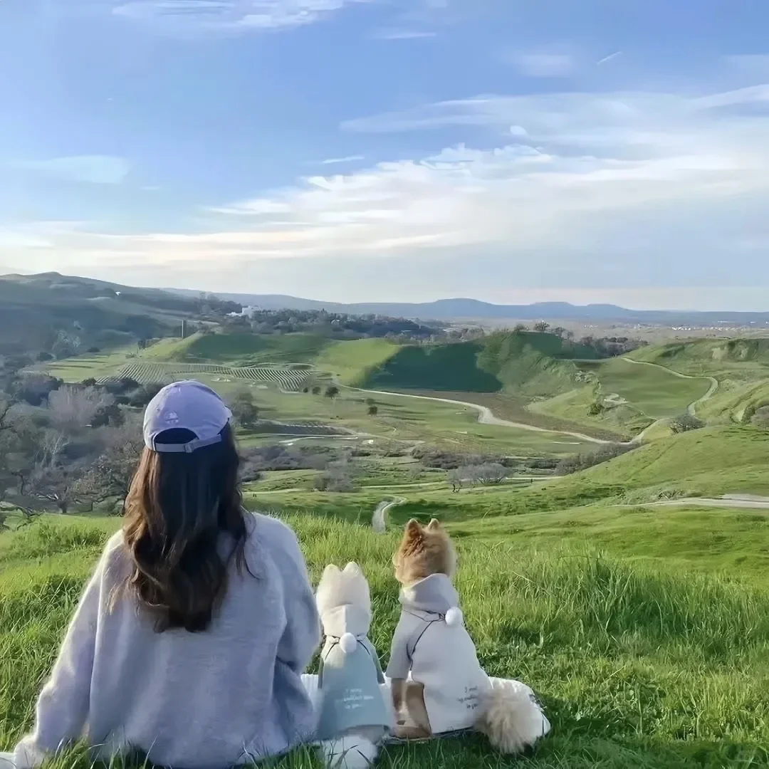 很有感觉的氛围感背影女头