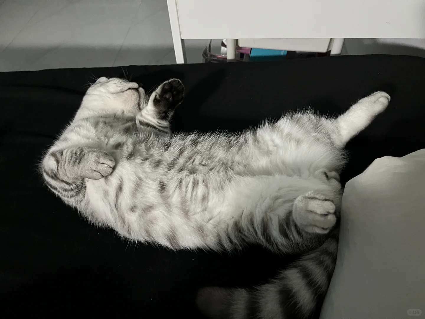 气血方刚的女子🧍‍♀️