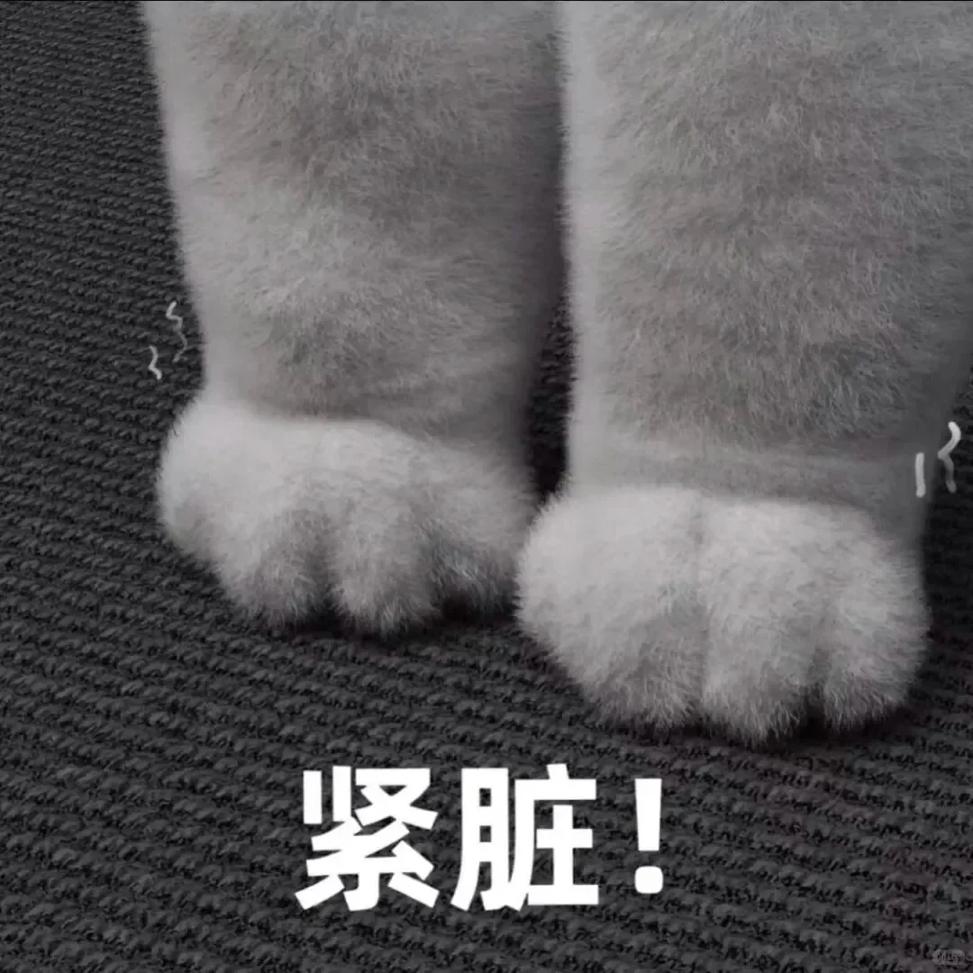 真的好喜欢这个表情包啊啊啊啊阿