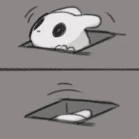 蛞蝓猫表情包（可以用）