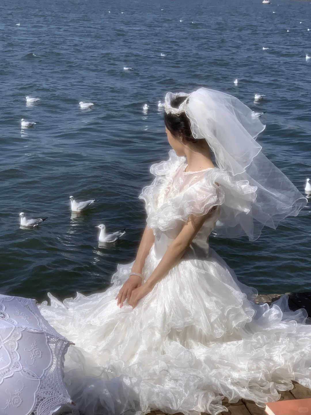 海鸥与婚纱共舞🕊️昆明约拍 昆明海鸥写真