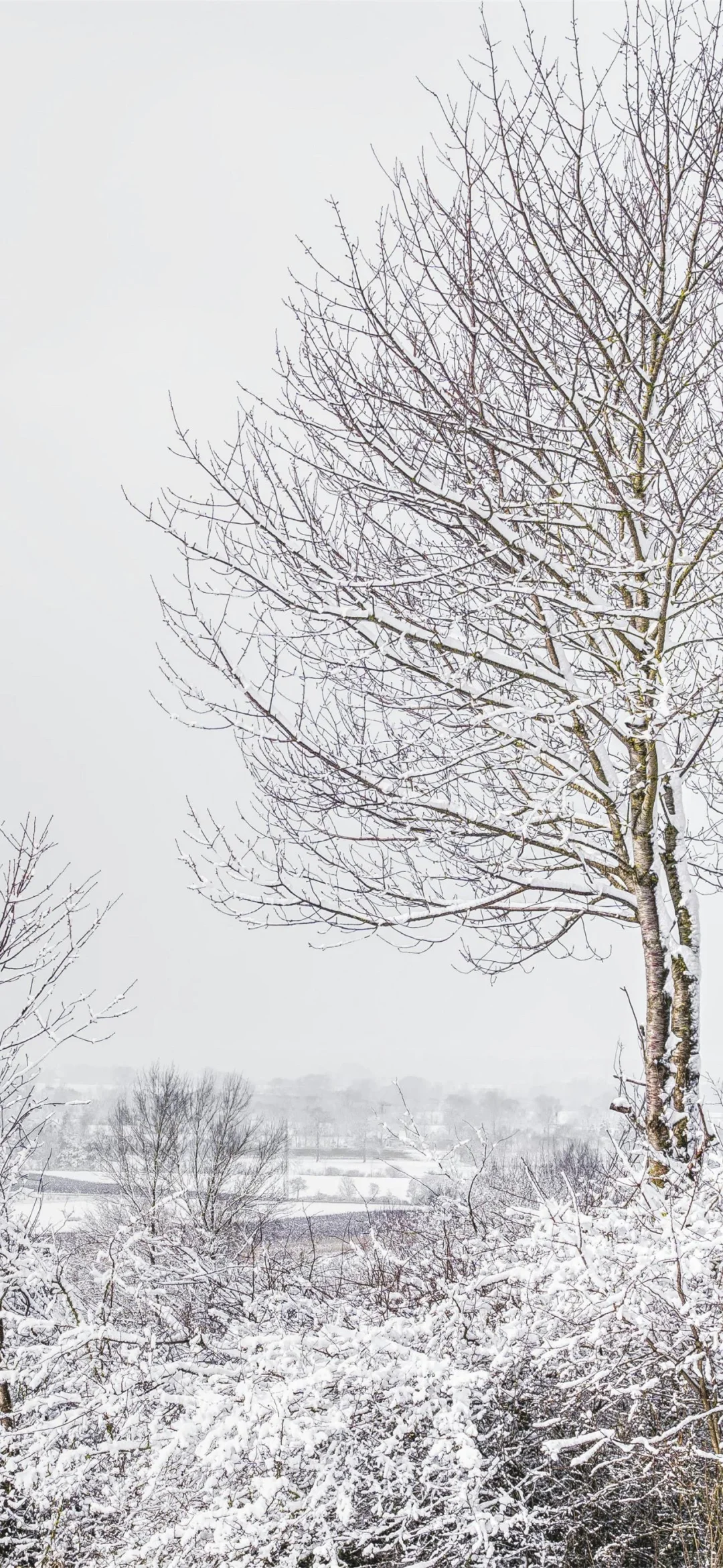 冬天の雪景壁纸❄☃︎ *❆