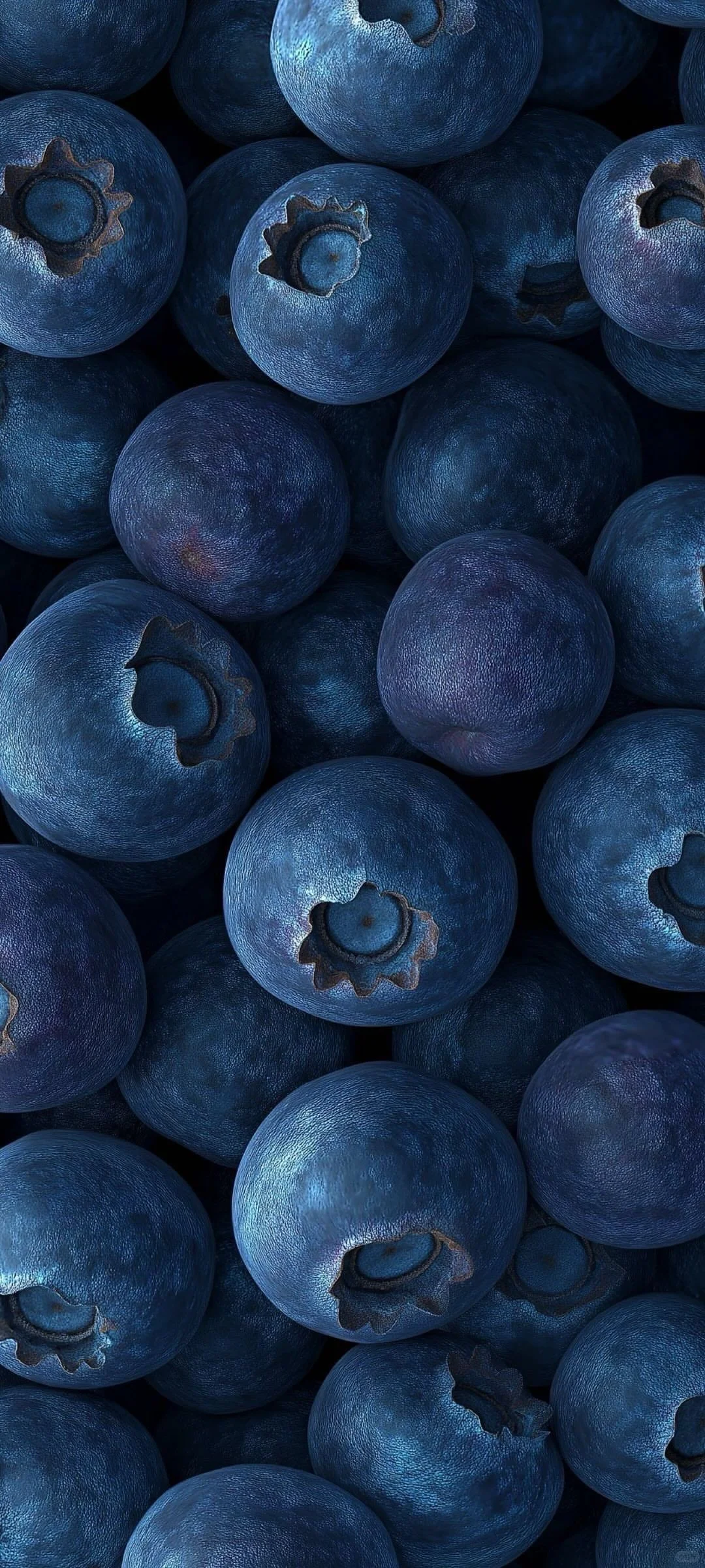 一些珍藏的小众壁纸