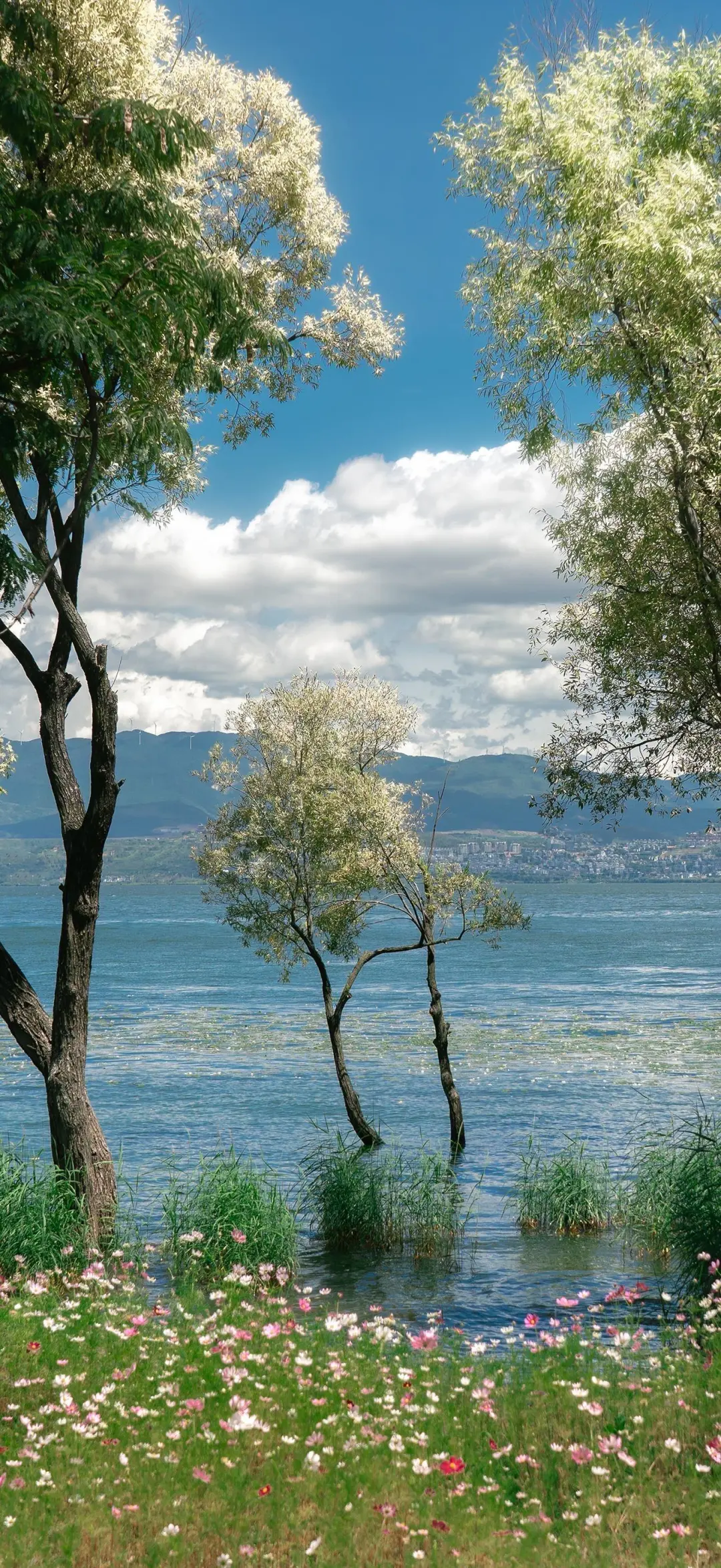 绝美风景壁纸分享✨