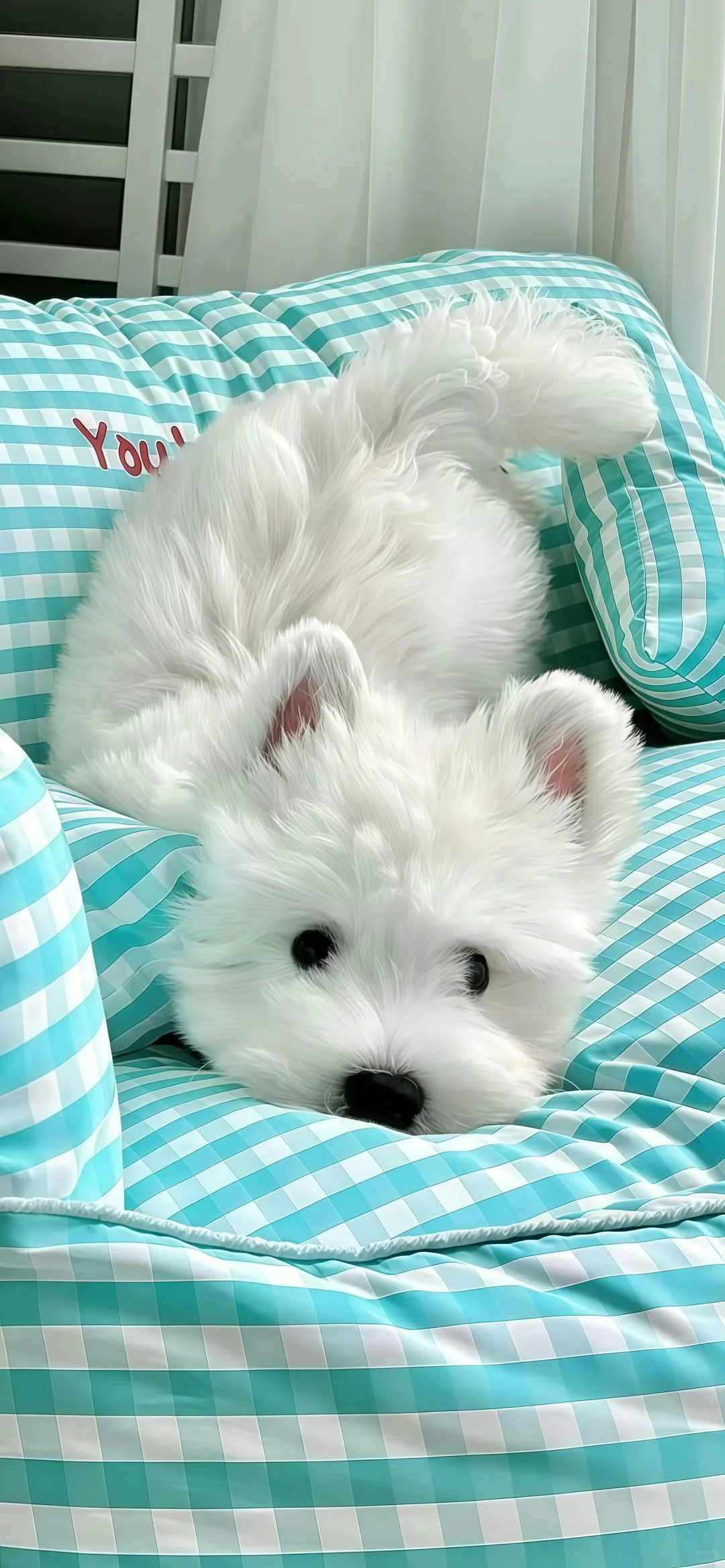 ♡ ˖ 🎧 ˖ 🎧 ˖ ｜高清干净氛围感壁纸✨