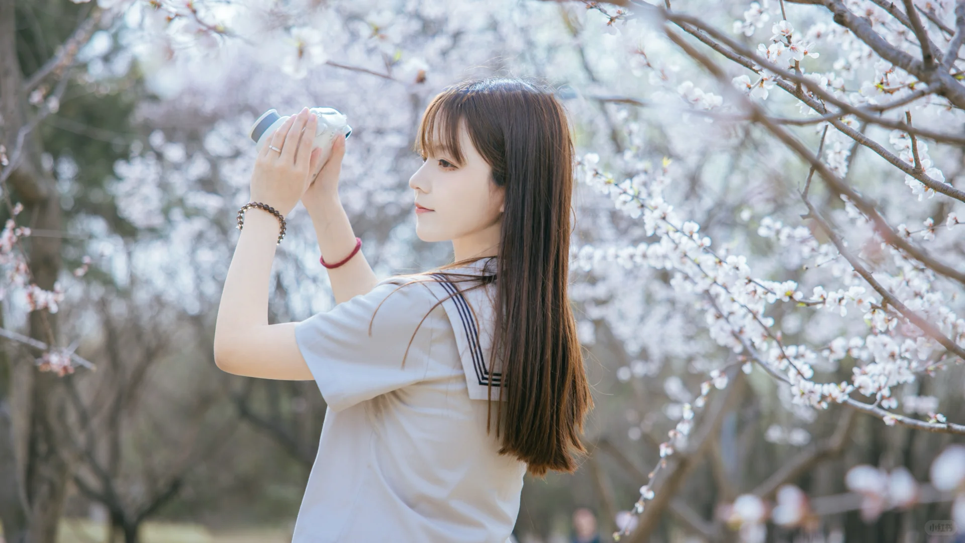 花会盛开在春日 你也是🌸