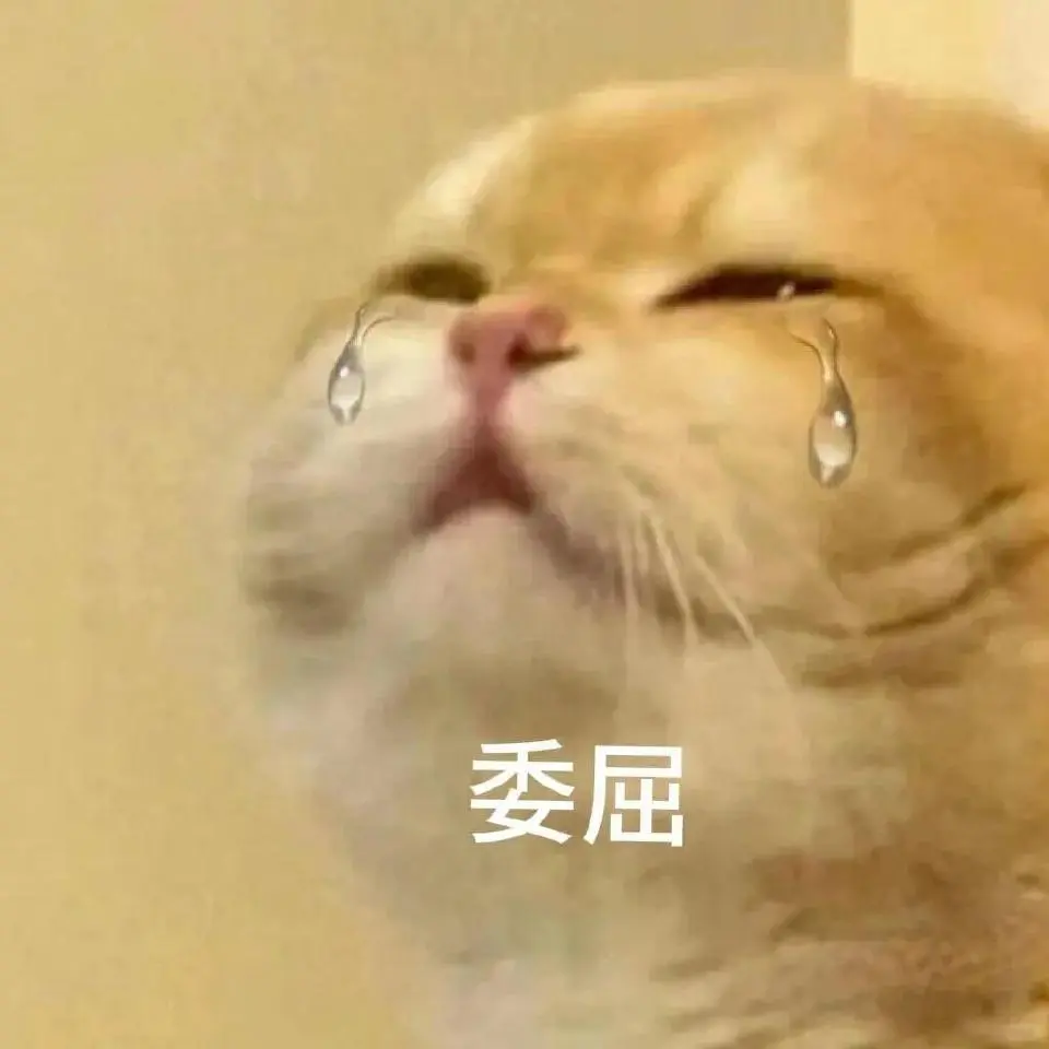 甜甜的猫猫表情包又来啦！
