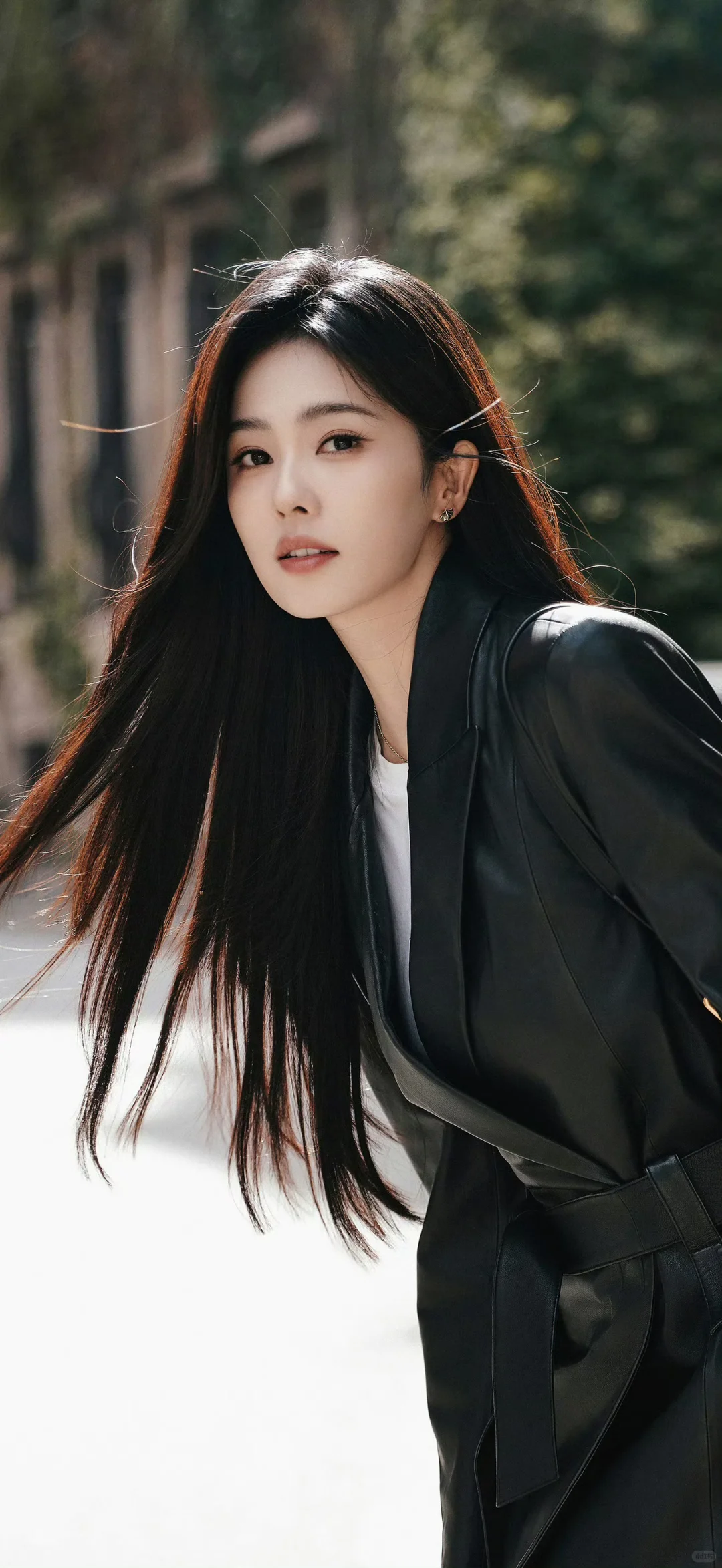 20251111明星壁纸｜【白鹿】～