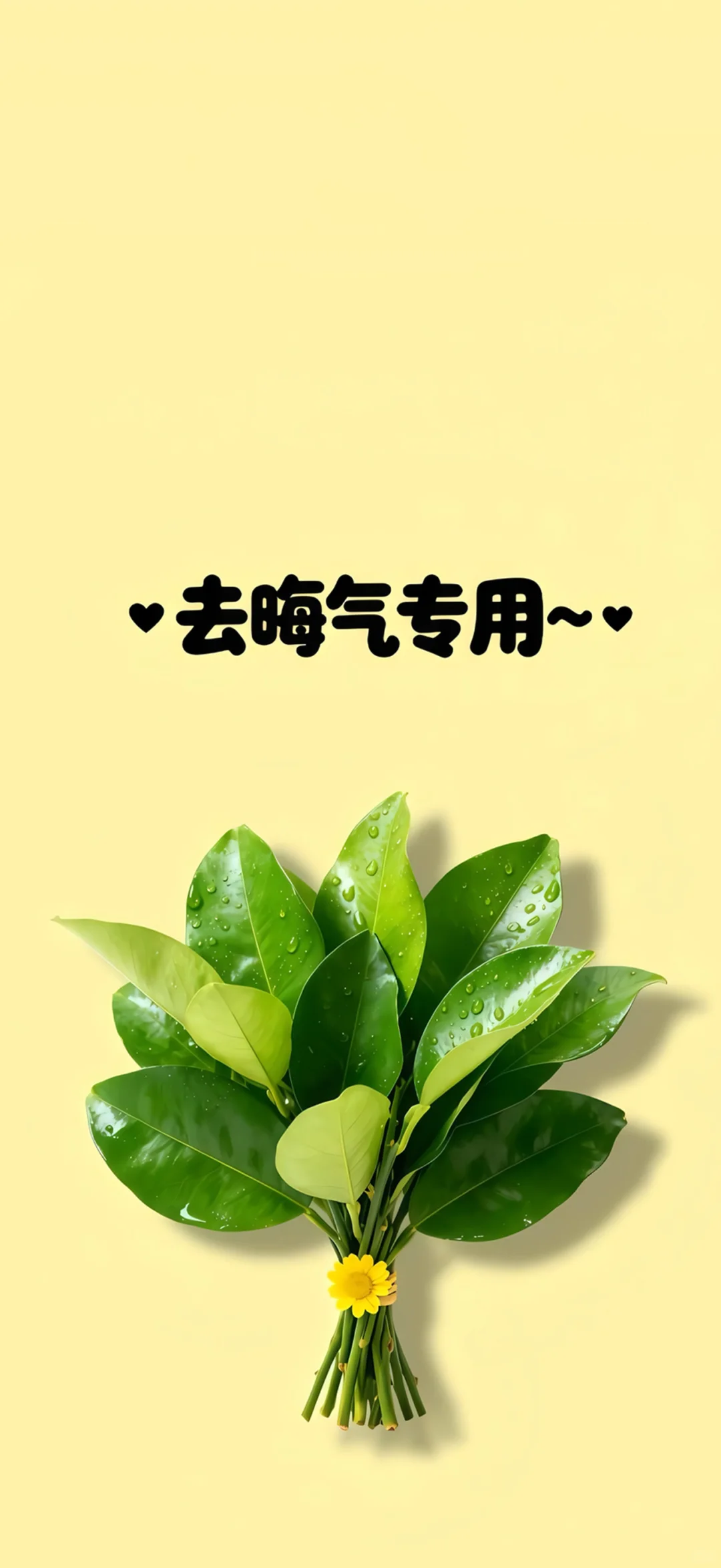 柚子叶壁纸来啦～