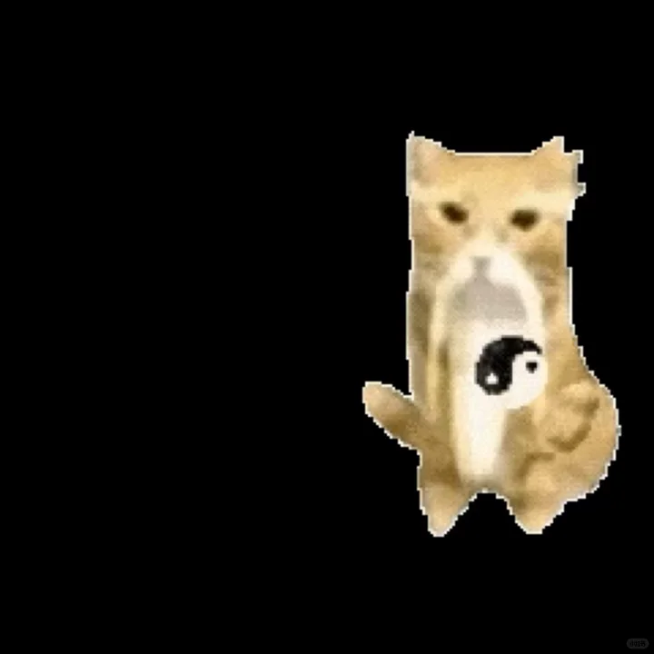 抽象猫meme动态表情包分享 (｡ì _ í｡)