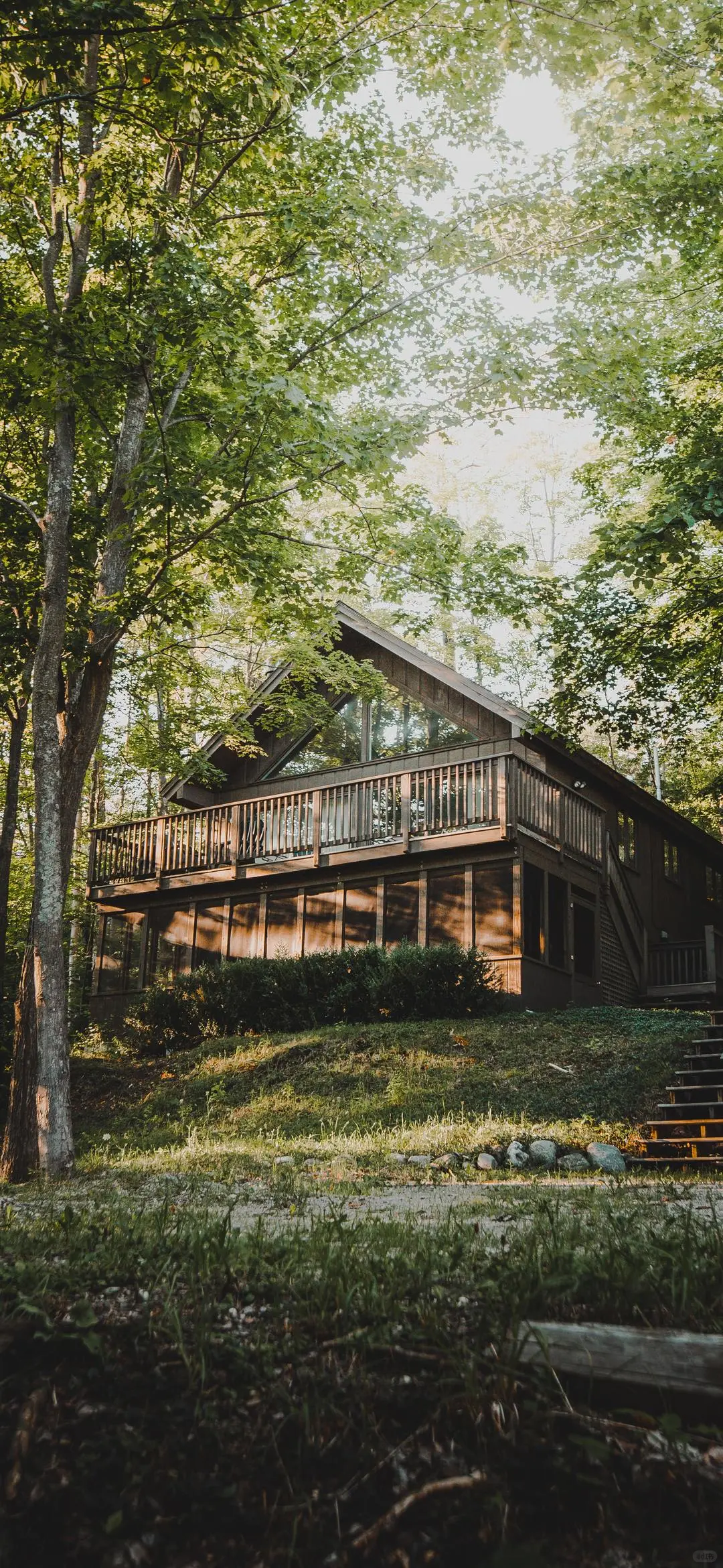 壁纸分享、手机壁纸