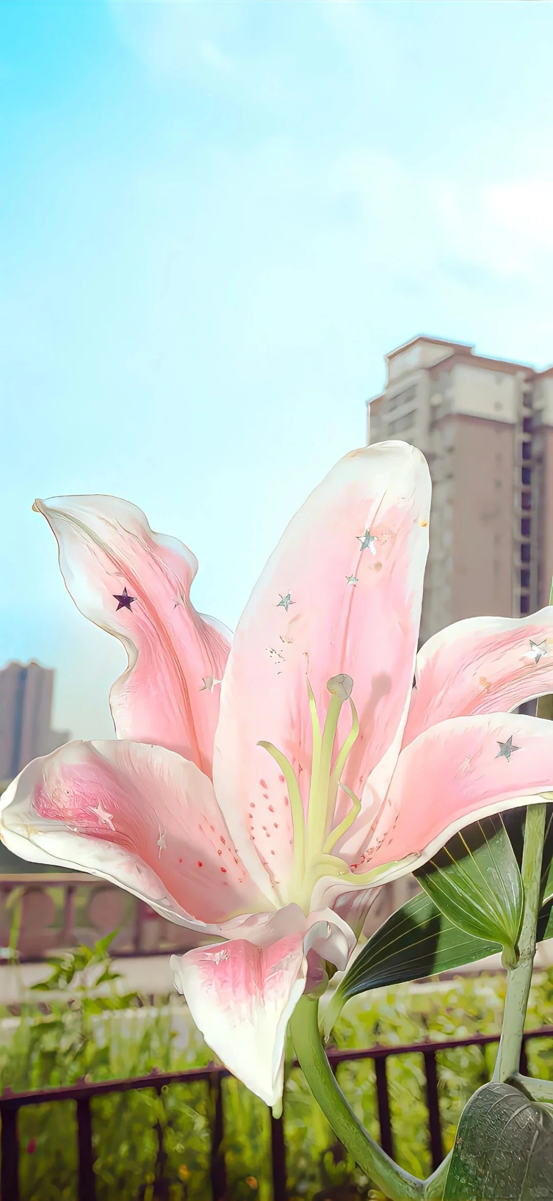 Share/你的新壁纸拍了拍你10.24👏