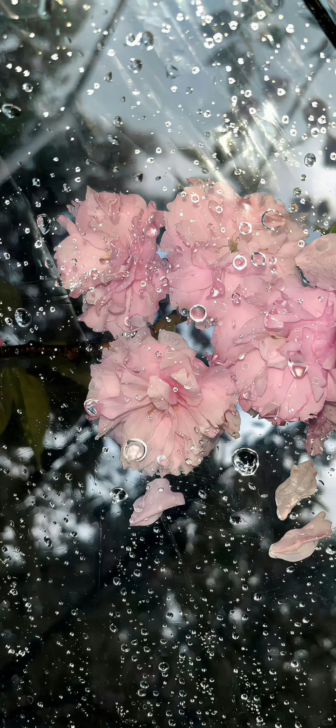 ios263D壁纸景深壁纸分享