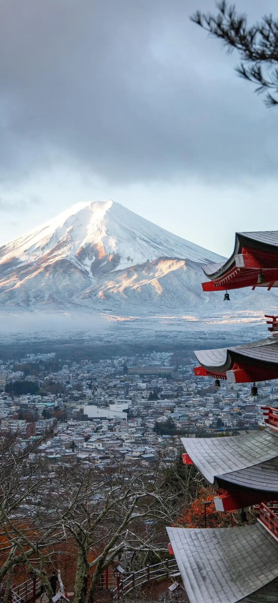 壁纸分享、手机壁纸