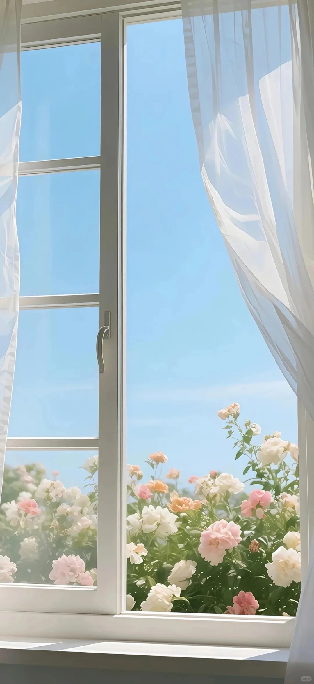 🌊｜高清壁纸🌊