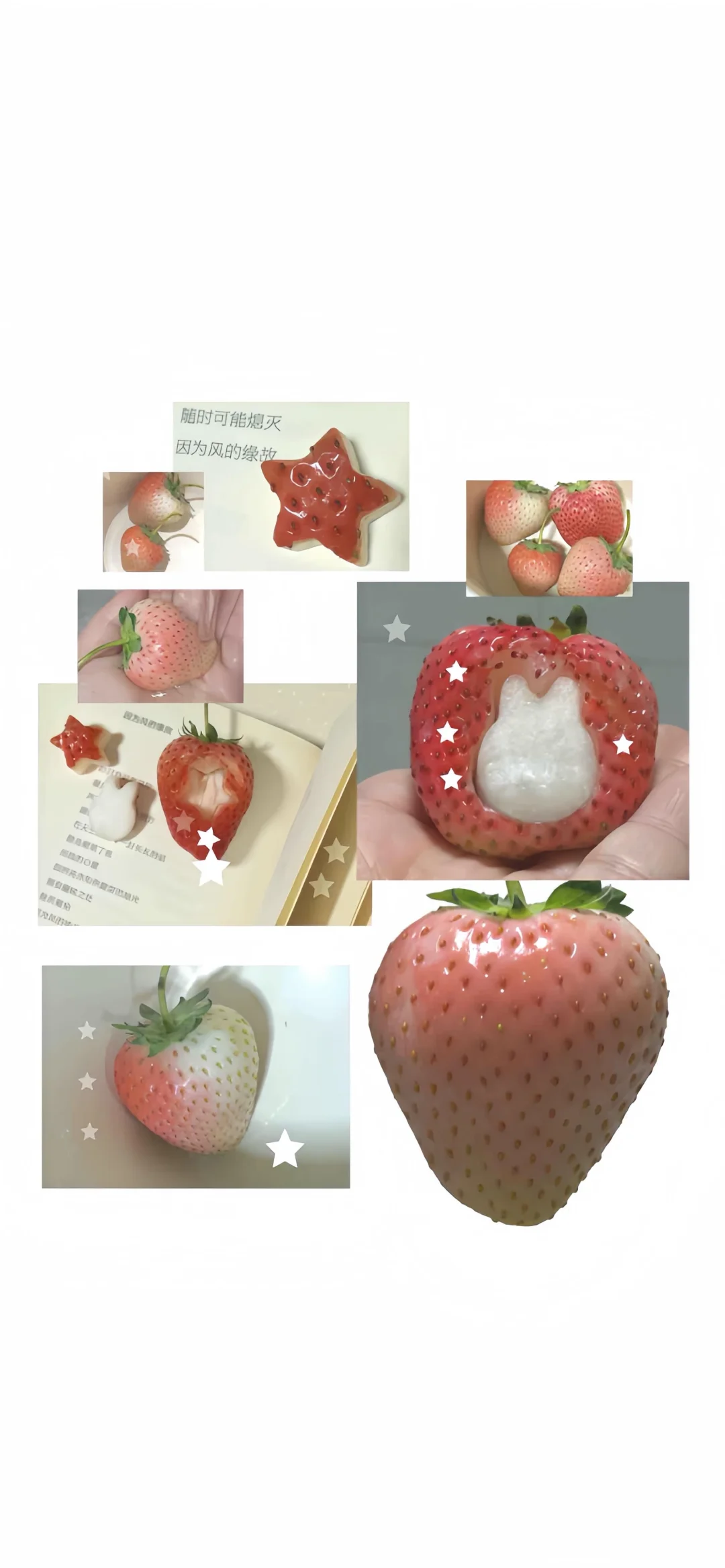 Share🎀ins风壁纸