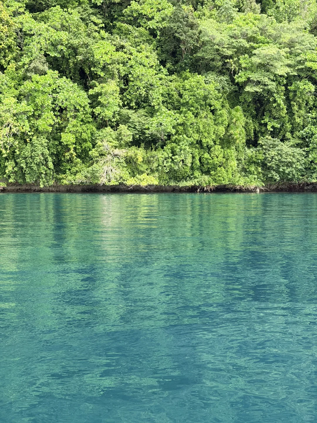一起去吹吹帕劳🇵🇼的海风吧🌊