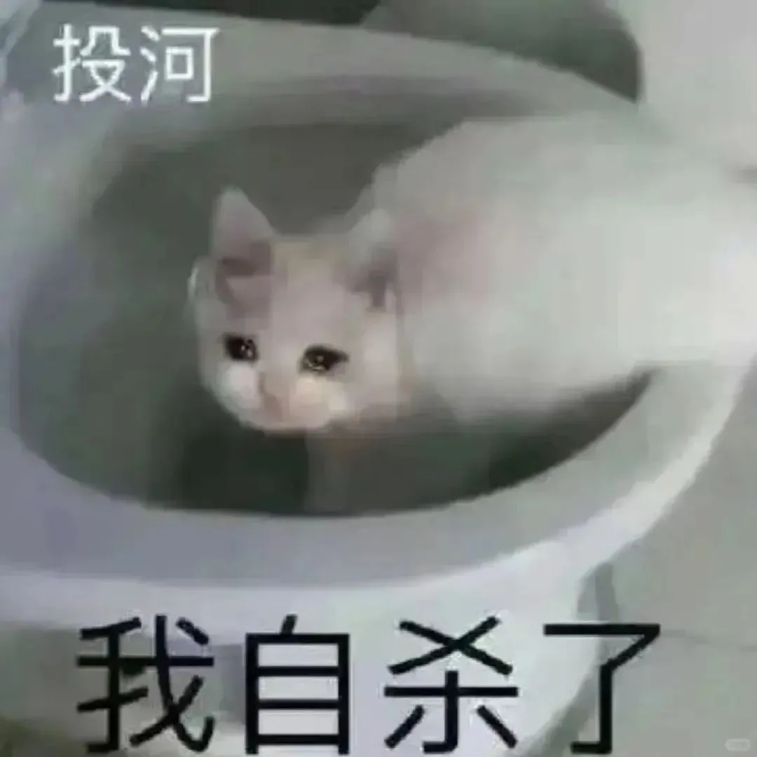 表情包｜尖叫！！！