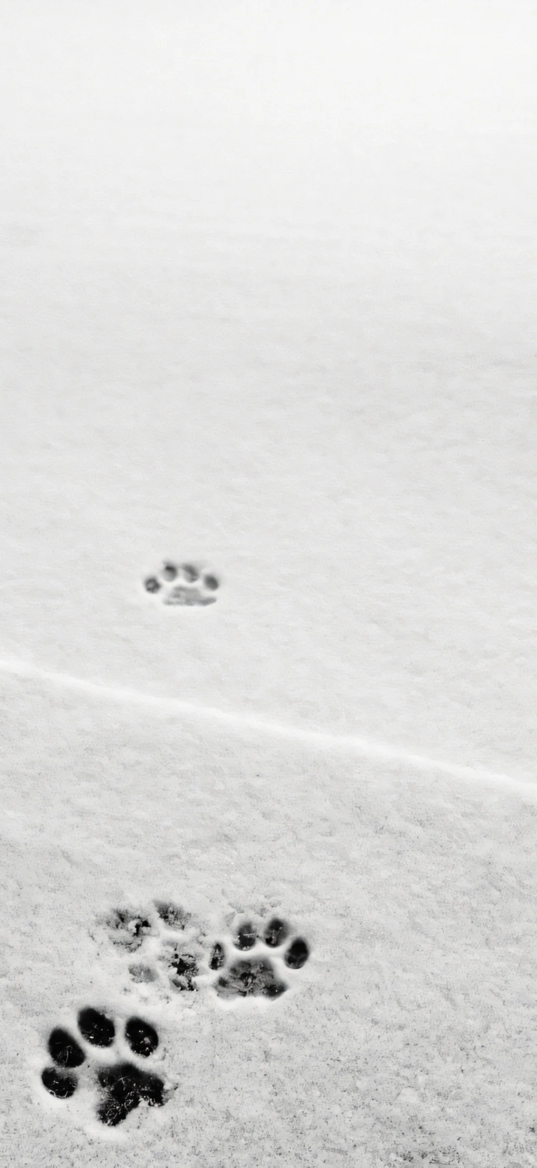 ins低饱和冷淡风壁纸🤍