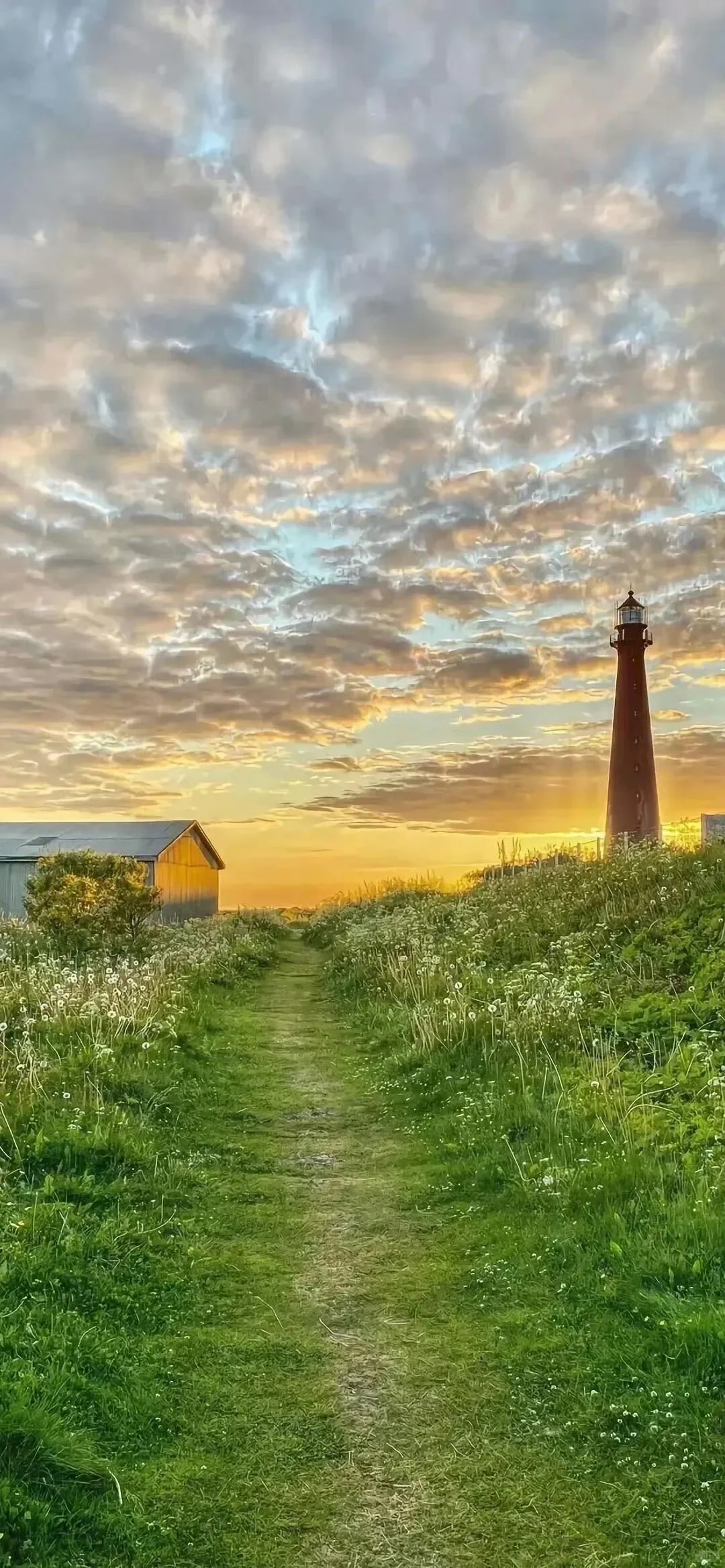 Wallpaper | 超级养眼好看的壁纸~