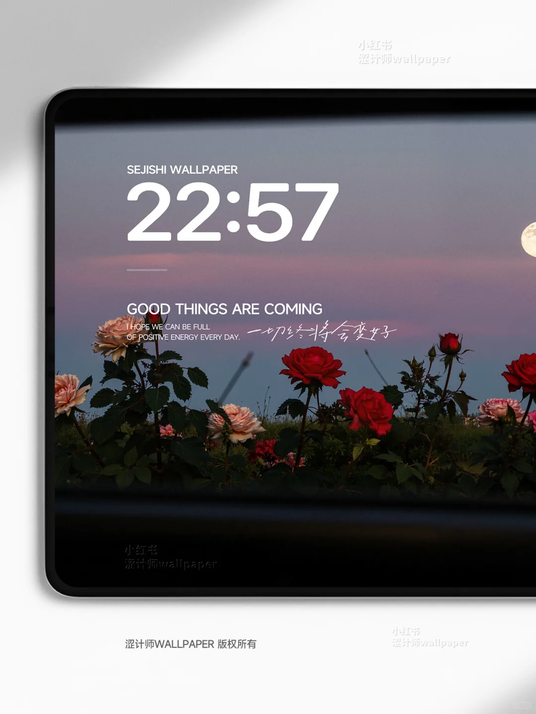 “玫瑰与月光”氛围感平板壁纸｜A209