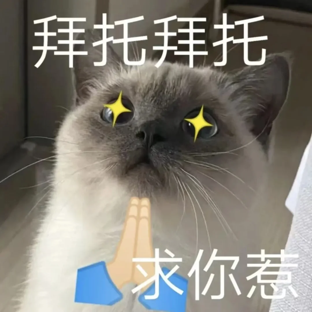 小猫表情包、小猫表情包