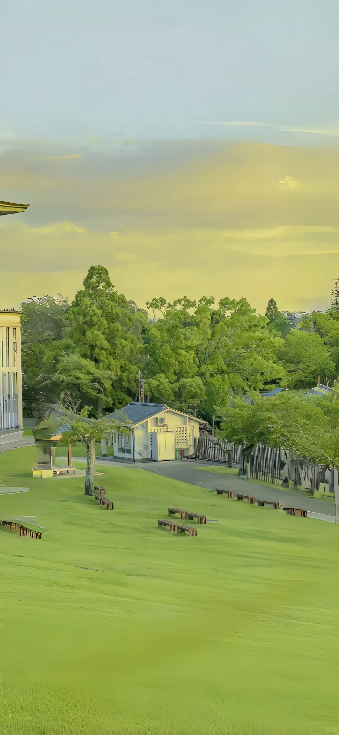 share丨生机盎然的壁纸