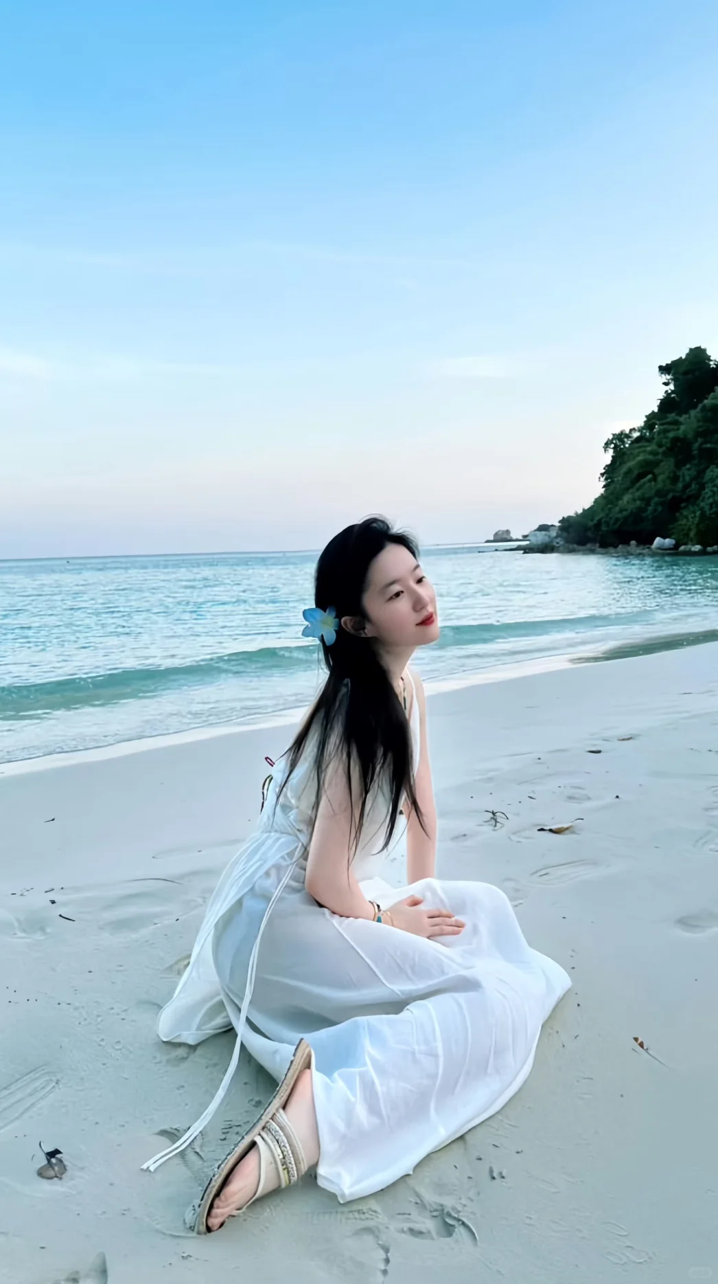 𝑺𝒉𝒂𝒓𝒆｜神仙姐姐