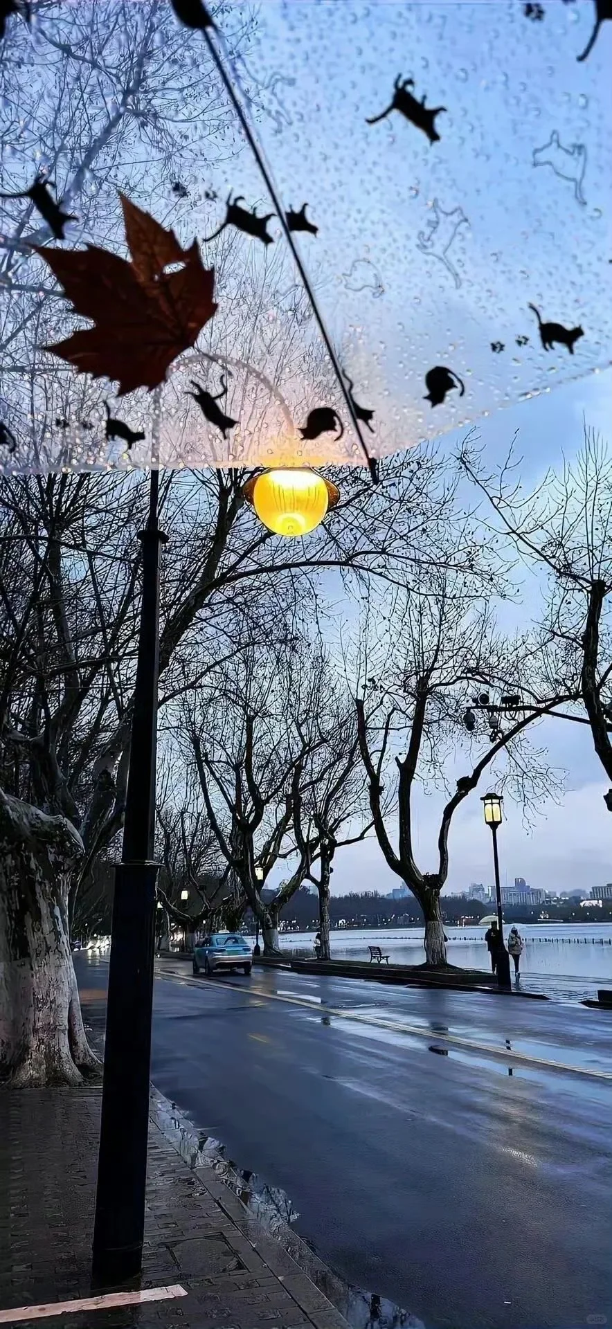 Wallpaper | 超级养眼好看的壁纸~