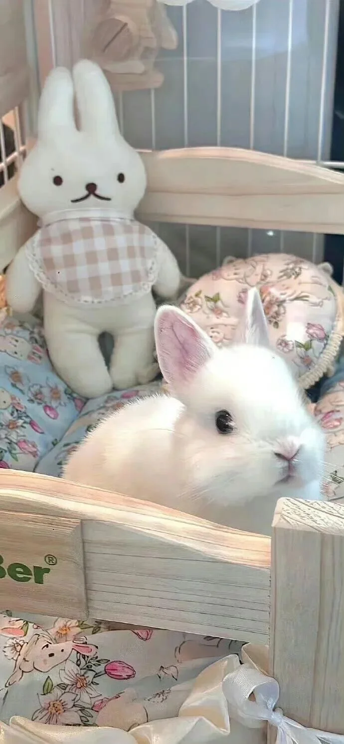 敲喜欢的、氛围感壁纸、治愈系壁纸、敲喜欢的