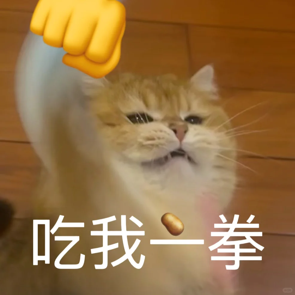 🥔表情包｜猫猫：如何呢？