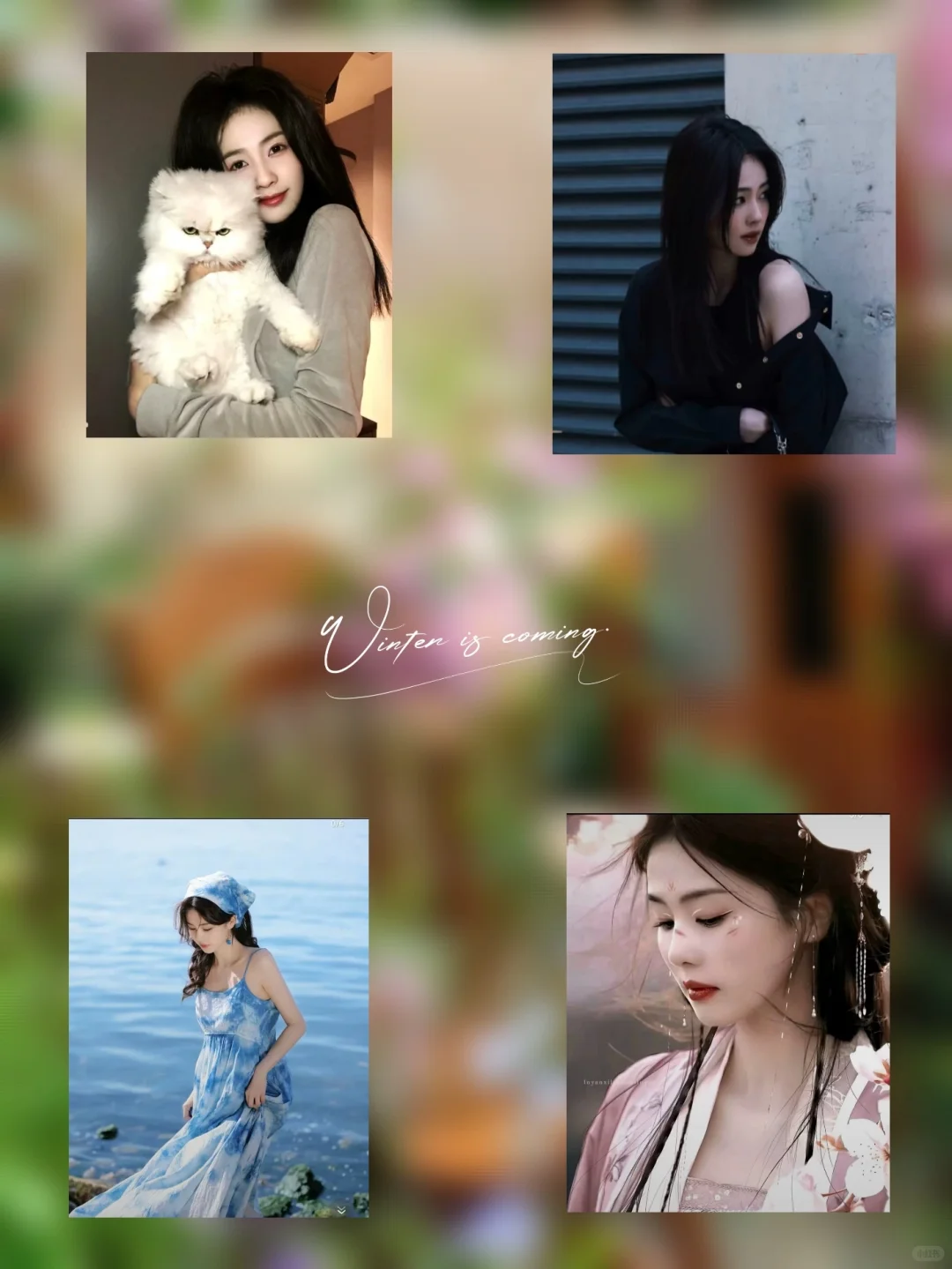 𝙒𝙚𝘾𝙝𝙖𝙩丨白鹿惊艳女头