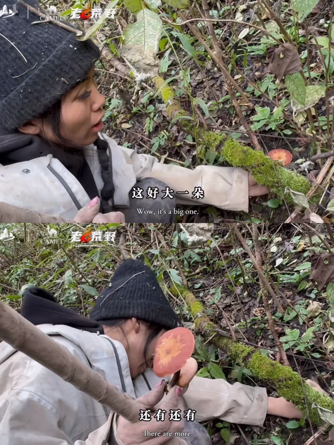 被《荒野求生》冷美人戳哭了｜内核太强大了