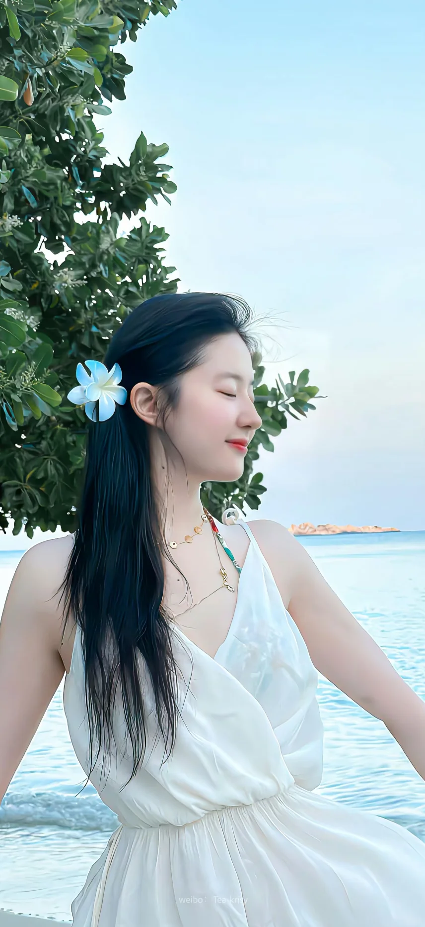 𝑺𝒉𝒂𝒓𝒆｜神仙姐姐